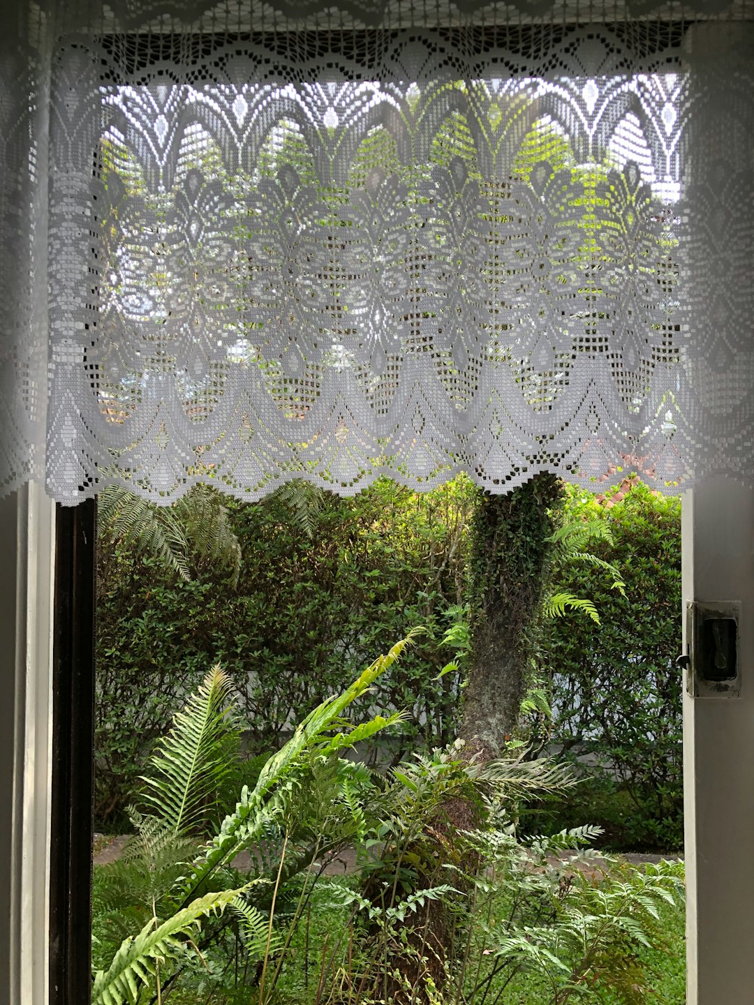 Green garden view through a window with white lace.